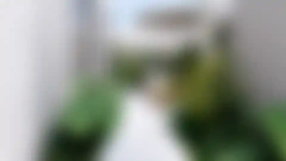 image for main block