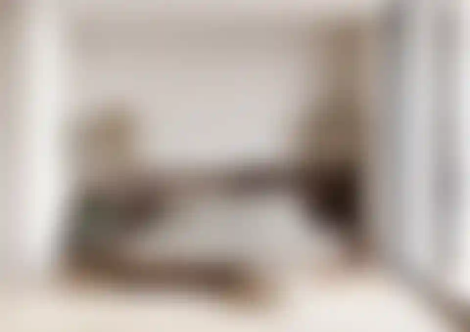 image for main block