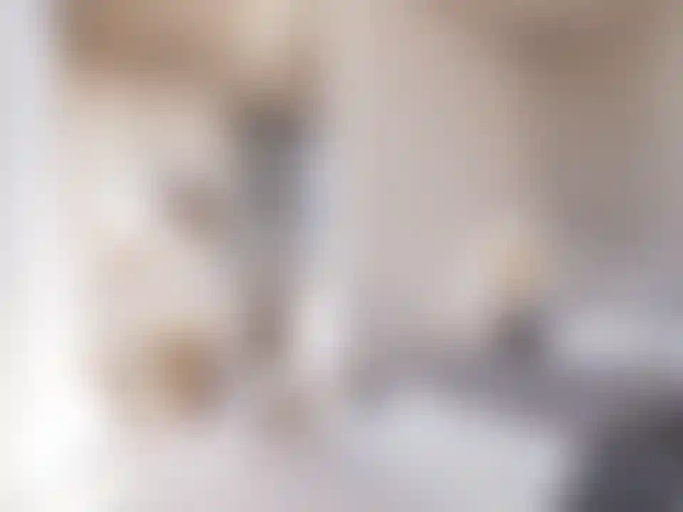 image for main block