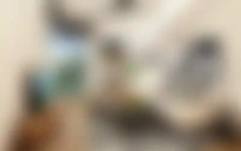 image for main block