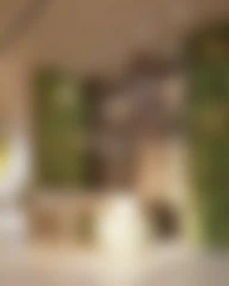 image for main block