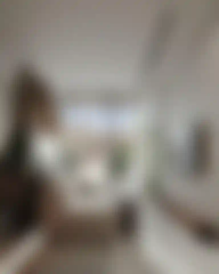 image for main block