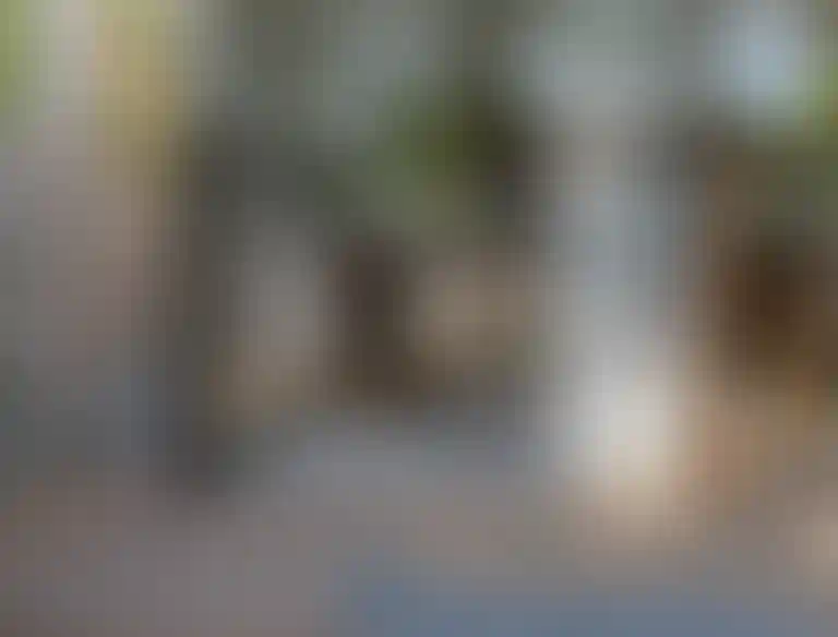 image for main block