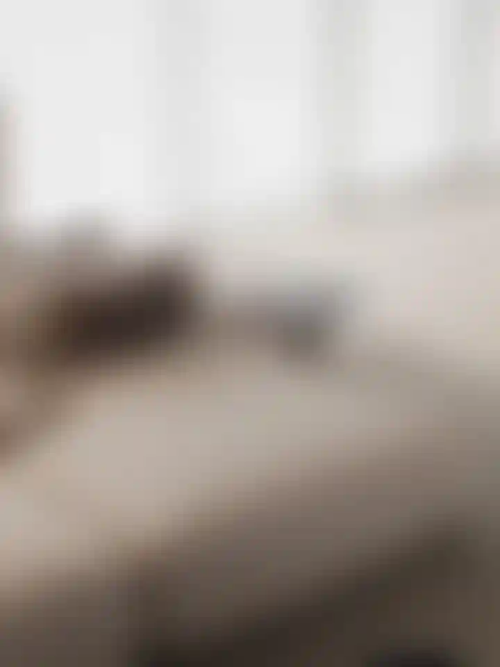 image for main block