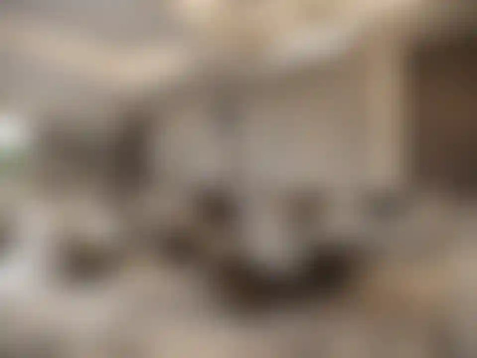 image for main block