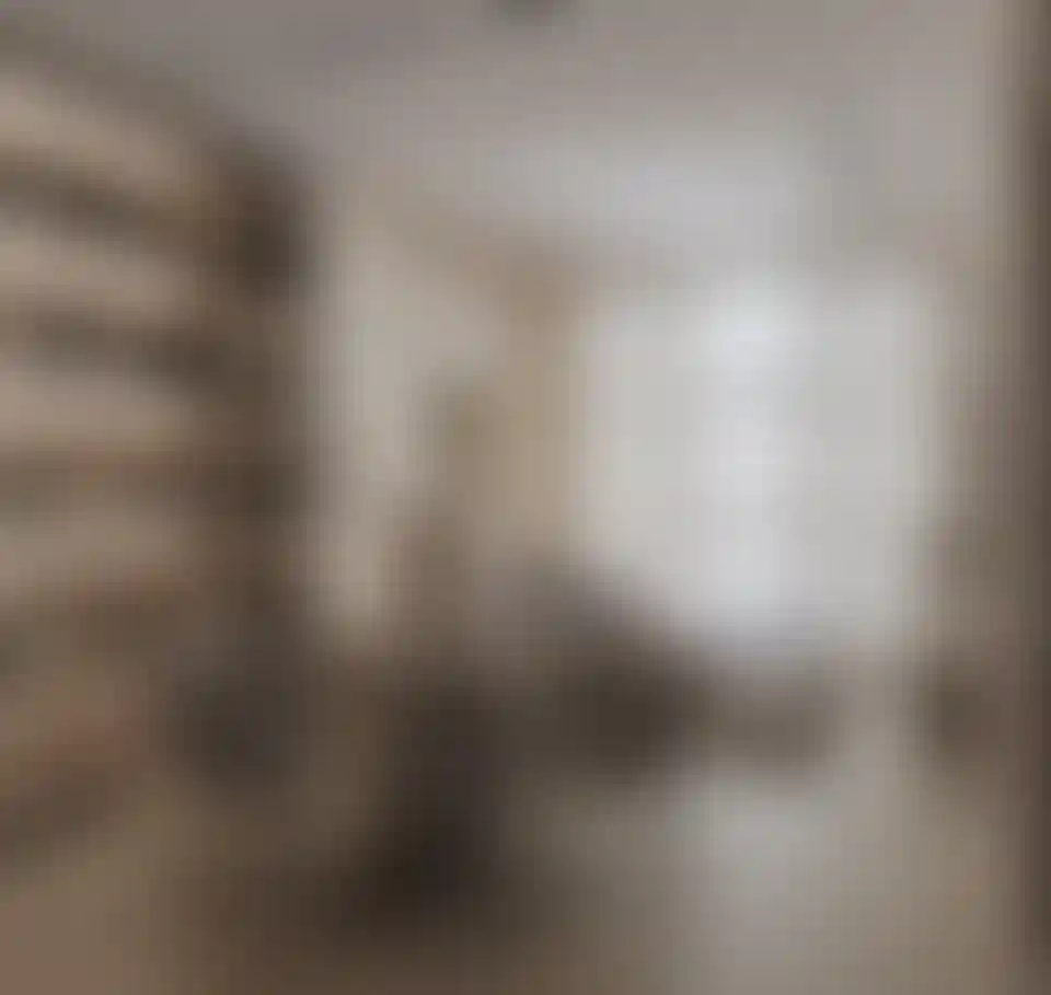 image for main block