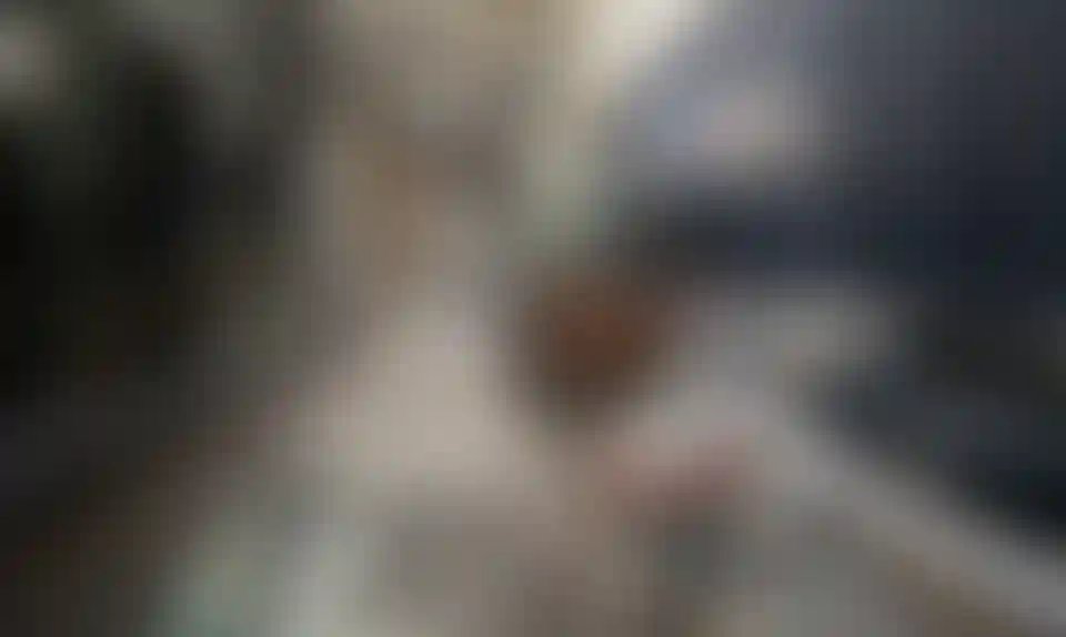 image for main block