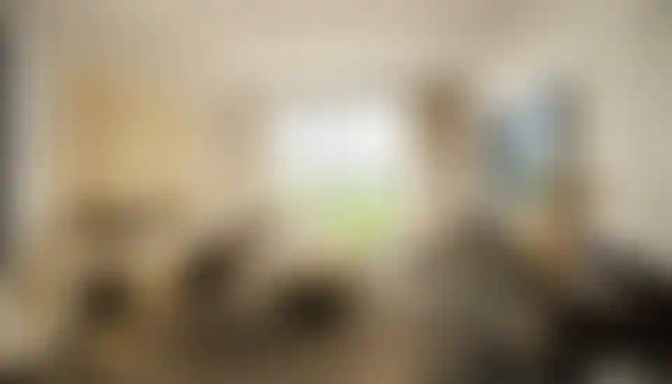 image for main block