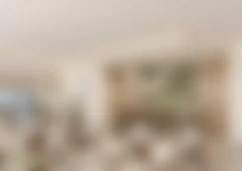 image for main block