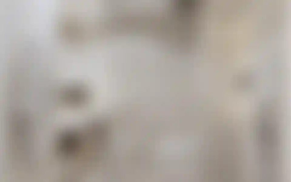 image for main block