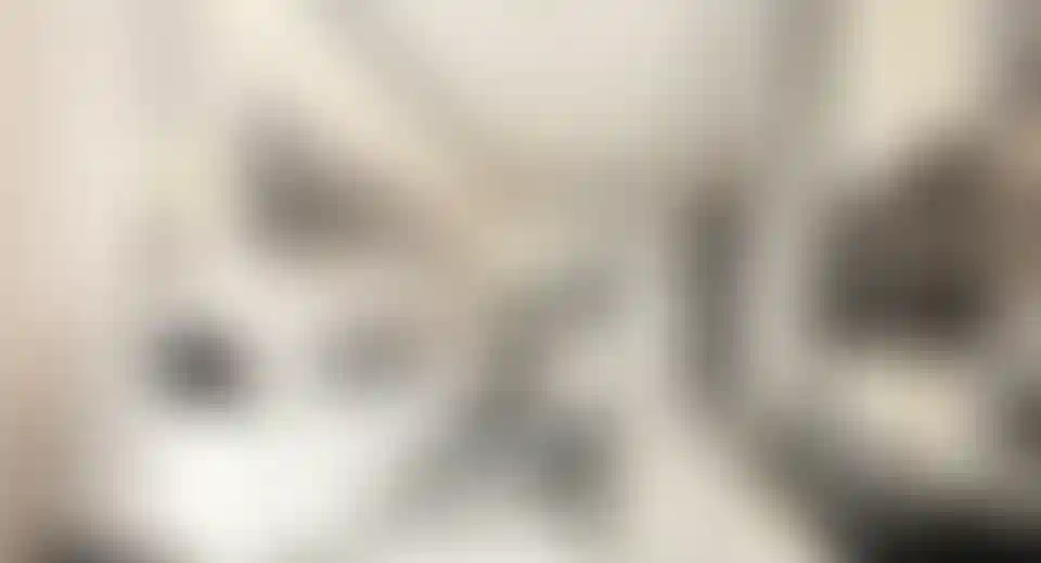 image for main block