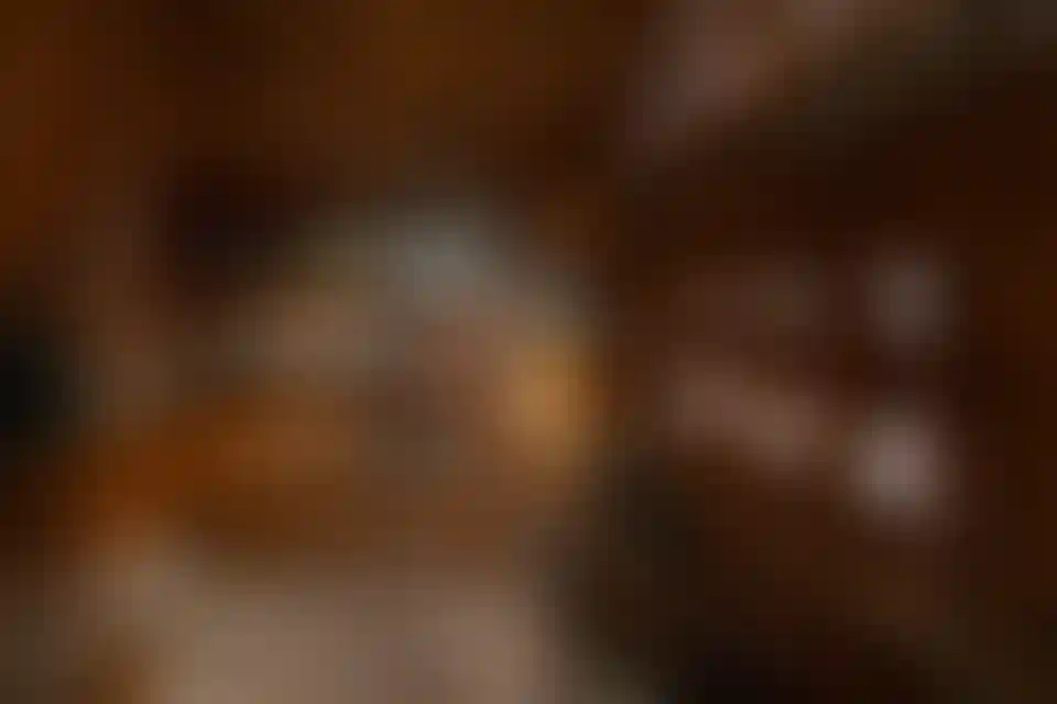 image for main block