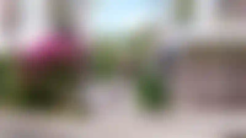 image for main block