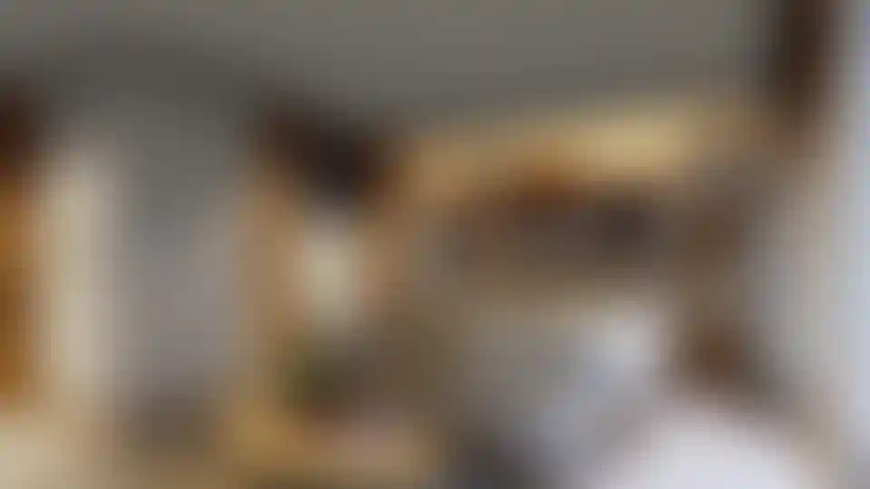 image for main block