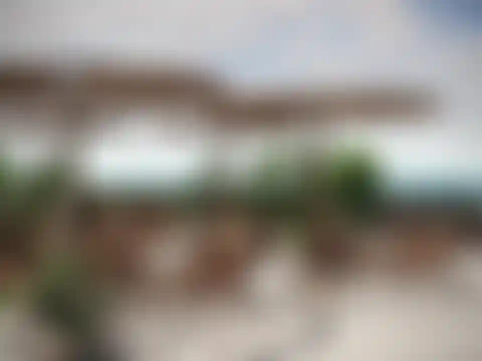 image for main block