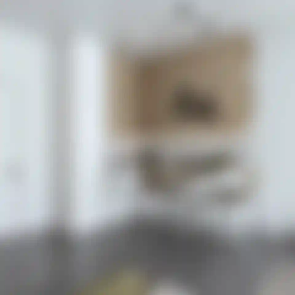 image for main block