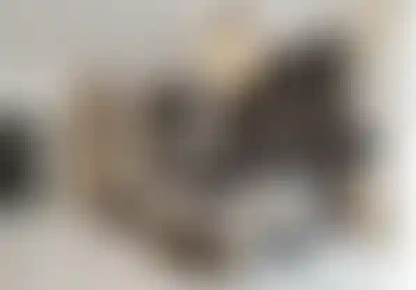 image for main block