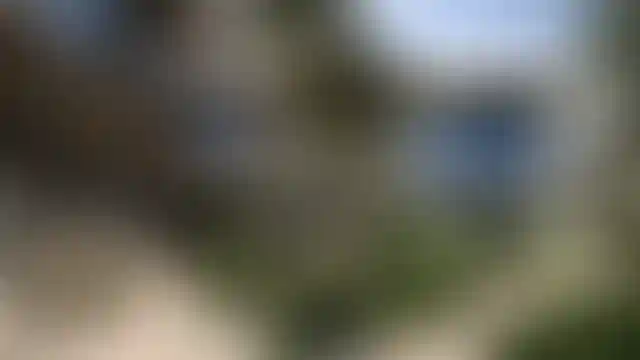 image for main block