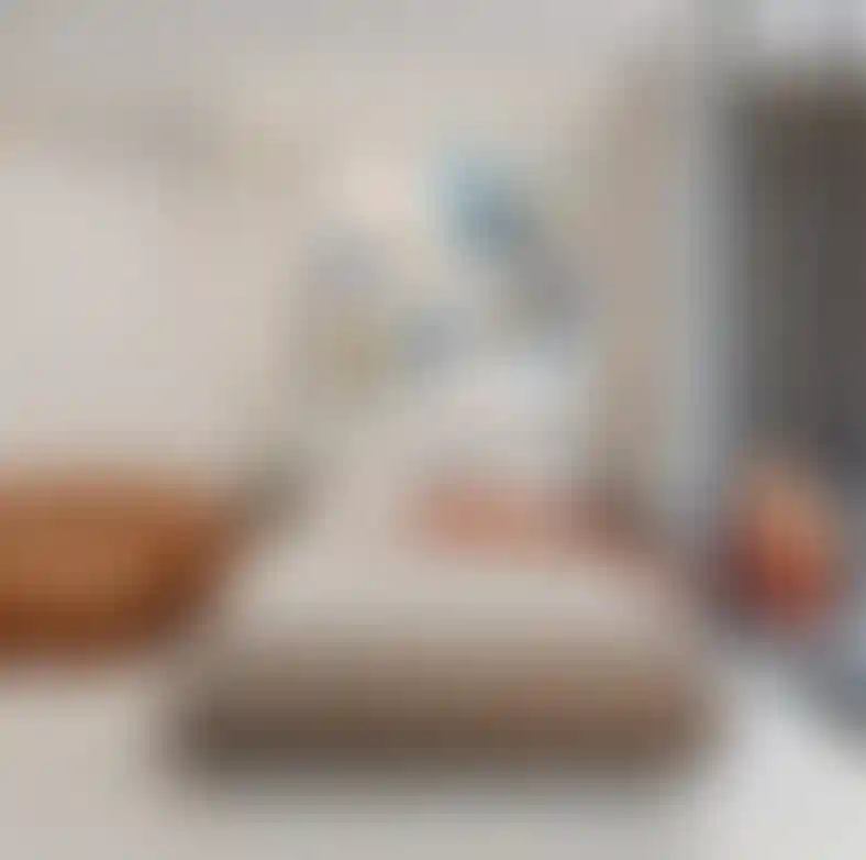 image for main block