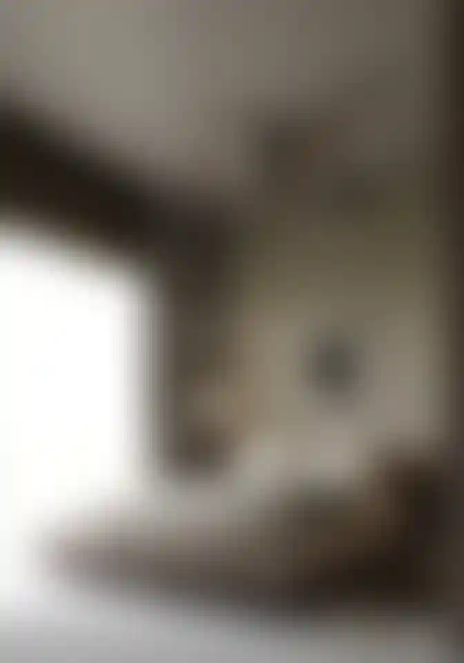 image for main block