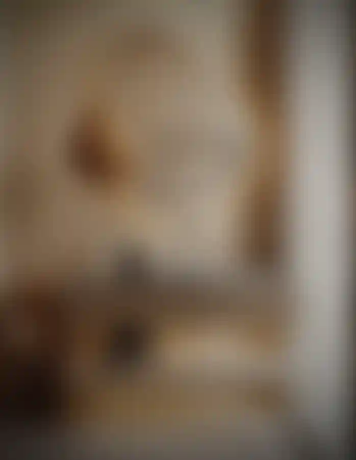 image for main block