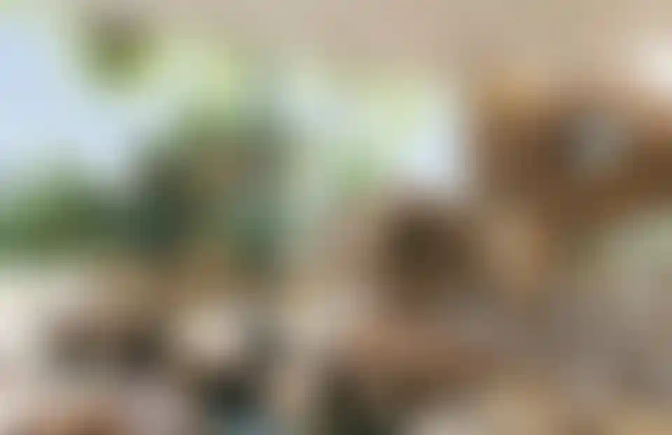 image for main block