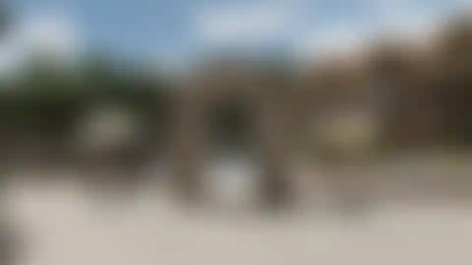 image for main block