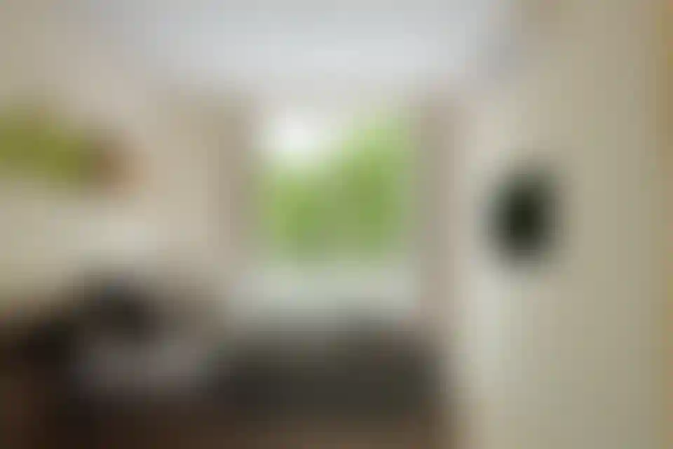 image for main block