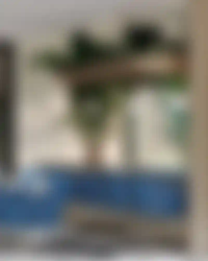 image for main block