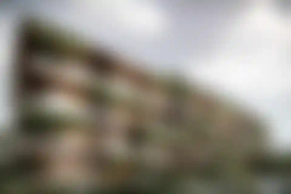 image for main block