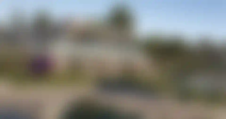 image for main block