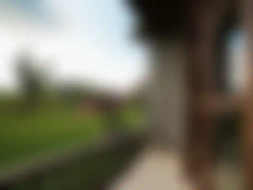 image for main block