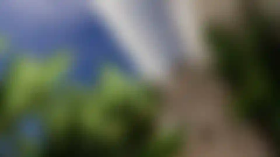 image for main block