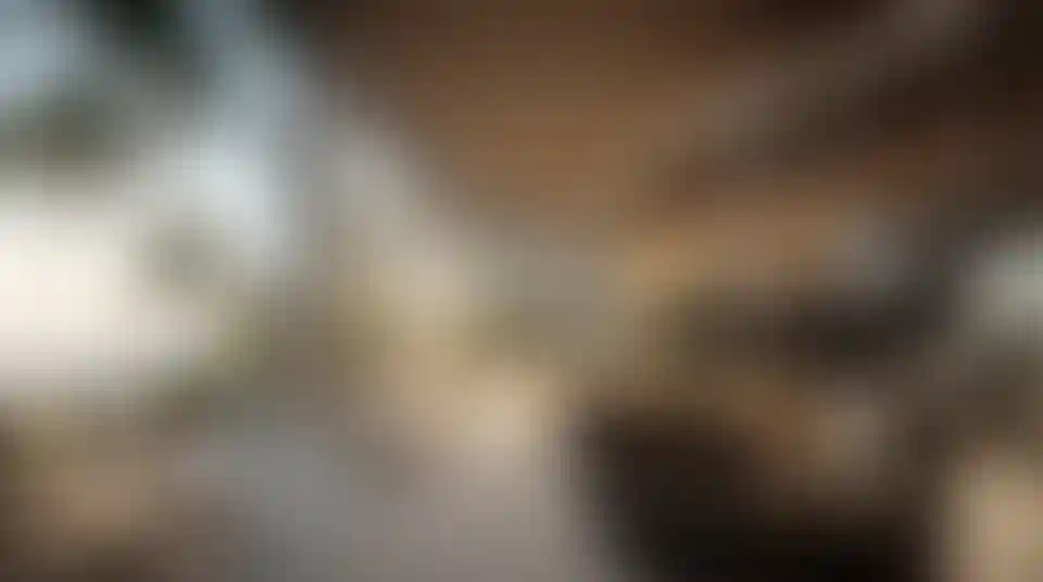 image for main block