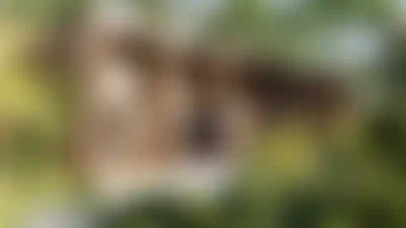 image for main block