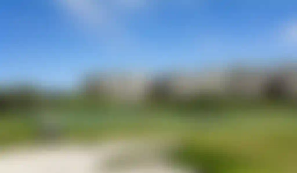image for main block