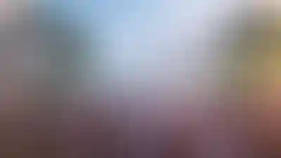 image for main block