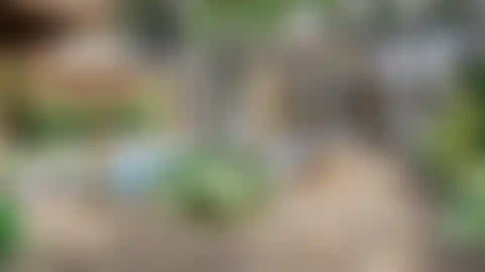 image for main block