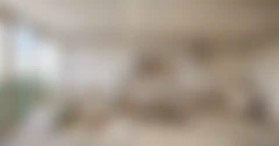 image for main block