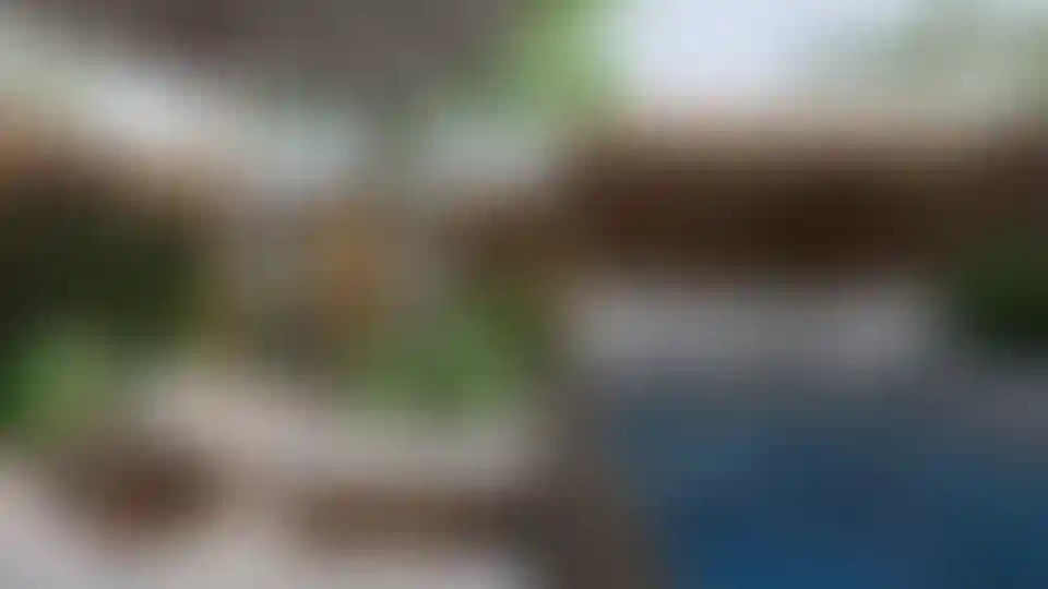 image for main block