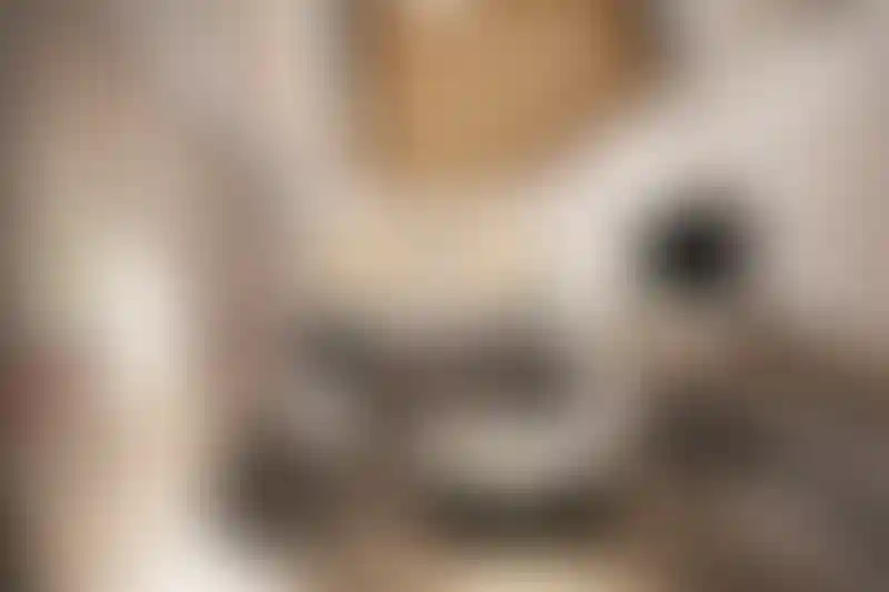 image for main block