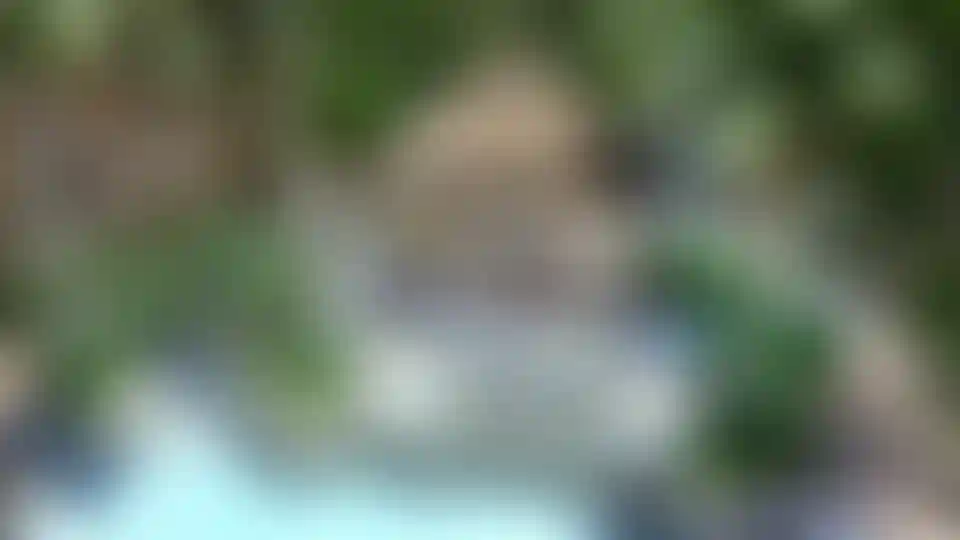 image for main block