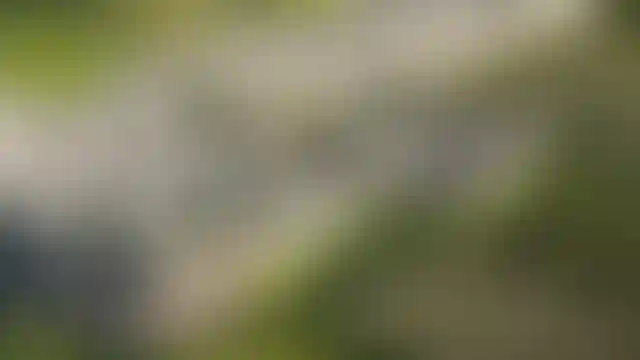 image for main block