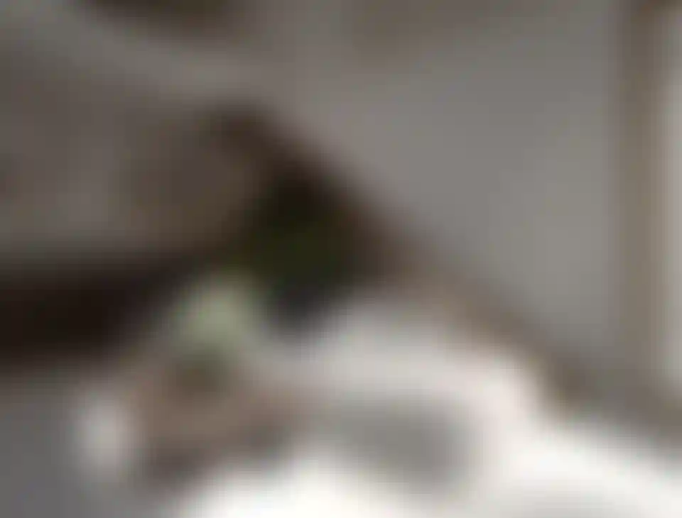 image for main block