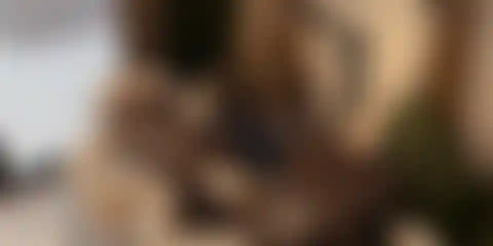 image for main block