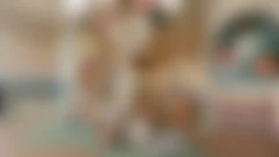 image for main block