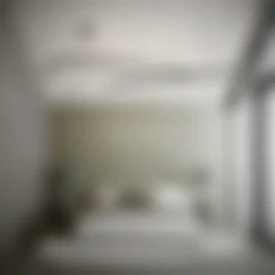 image for main block