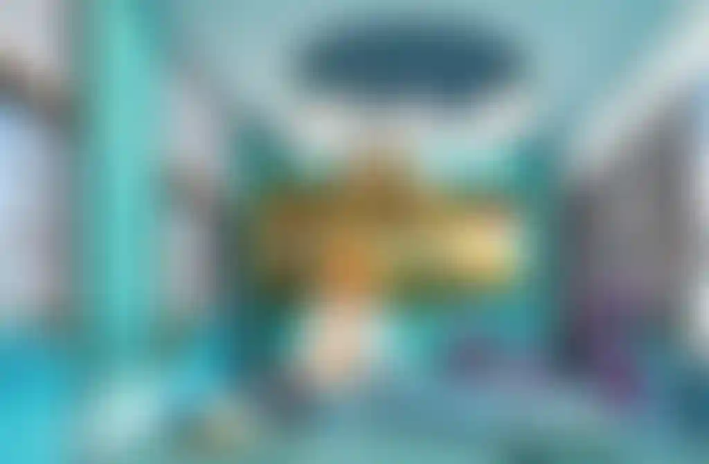 image for main block