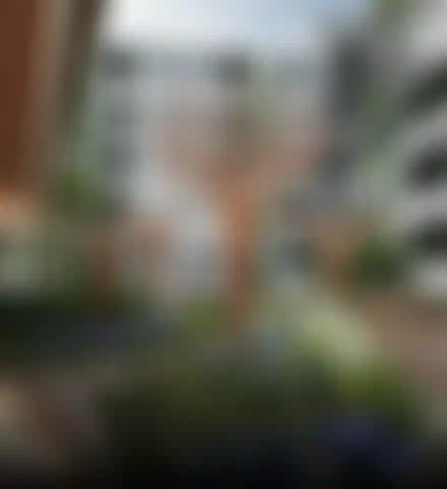 image for main block