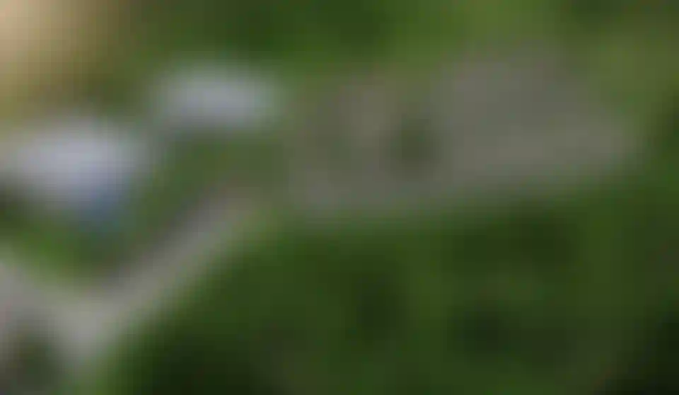 image for main block